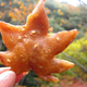 Illustration for article titled Time To Eat Fried Leaves in Japan